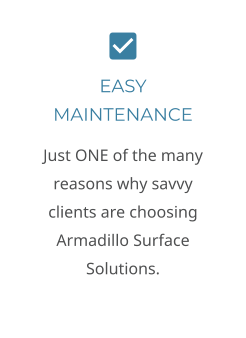 EASY MAINTENANCE Just ONE of the many reasons why savvy clients are choosing Armadillo Surface Solutions.